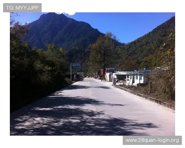 二八扑克牌赢钱技巧全攻略，教你如何在游戏中稳操胜券实现盈利