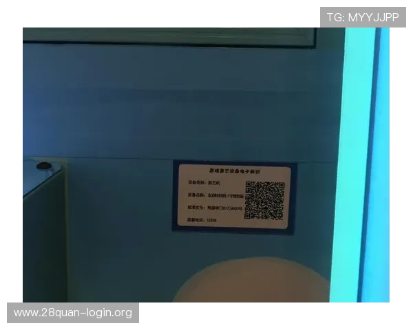 全面解析电子游艺平台的安全保障措施，保障玩家资金与个人信息安全的实用指南